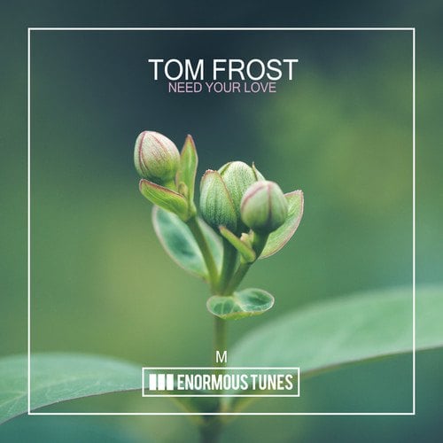 Tom Frost