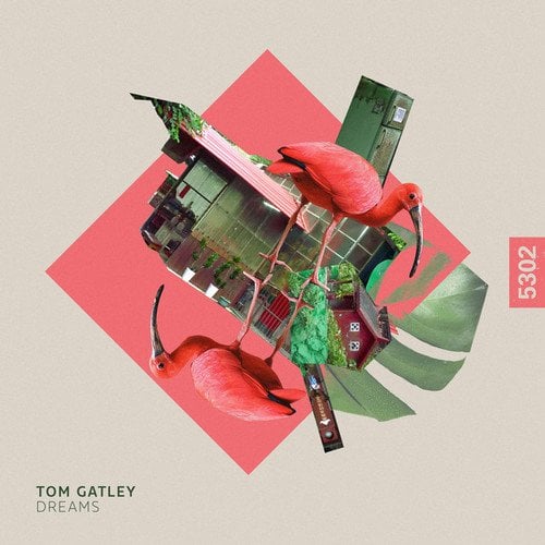 Tom Gatley
