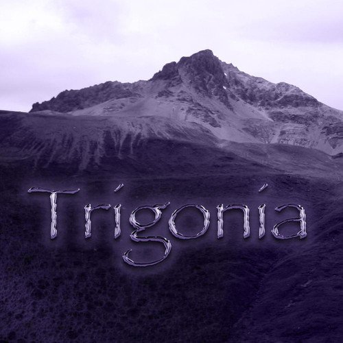 Trigonia