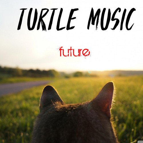 Turtle Music