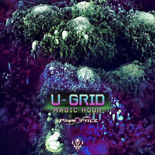 U-Grid