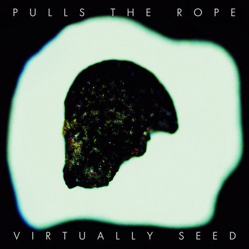 Virtually Seed