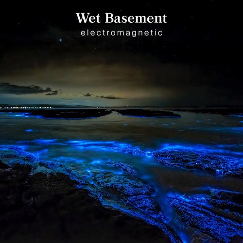 Wet Basement